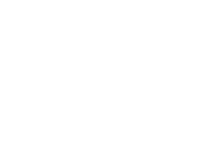 Academy of Asseointegration - logo